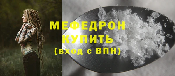 spice Богородицк