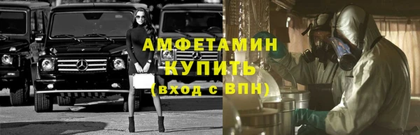 индика Нея