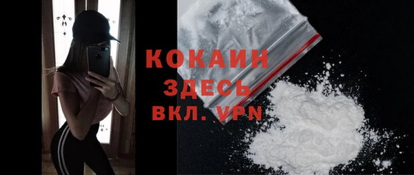 индика Нея