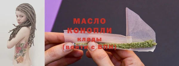 spice Богородицк