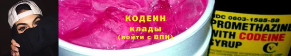 индика Нея