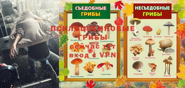 дмт Надым
