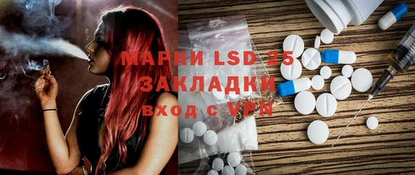 индика Нея