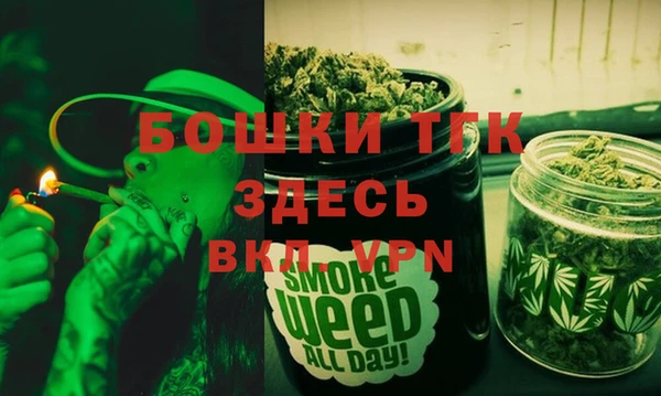 индика Нея