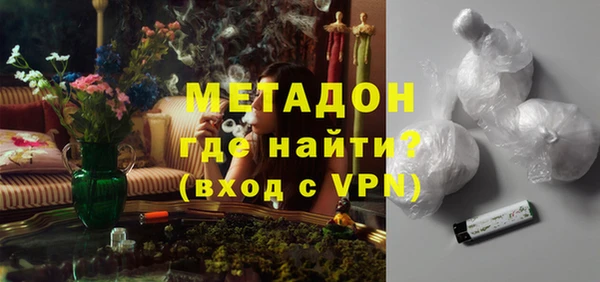 индика Нея