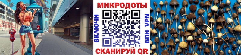 Галлюциногенные грибы прущие грибы  купить наркотик  Чишмы 